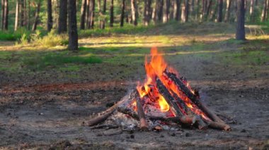 Akşam Ateşi Yazın Çam Ormanı 'nda yanıyor. Alevli Kamp Ateşi, Şenlik Ateşi İçin Yer. Fire Pit Out, Wood On Fire, Flying Sparks ve Smoke. Seyahat ve Turizm Konsepti - Yavaş Hareket