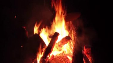 Karanlık Orman 'da Gece Ateşi Yanıyor. Gece vakti Alevli Kamp Ateşi. Şenlik Ateşi için yer. Fire Pit Out, Wood On Fire, Flying Sparks ve Smoke. Seyahat ve Turizm Konsepti - Statik Atış