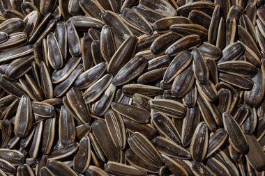Tuzsuz Kavrulmuş Ay Çiçeği Tohumları: Bir Güneş Çiçeği Çekirdekleri Mutfak Tuvali, Gurme Pişirme İçin Canlı ve Dokulu Bir Arkaplan Oluşturuyor. Dağınık Güneş Çiçeği Tohumları - Üst Görünüm, Düz Yat