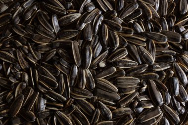 Tuzsuz Kavrulmuş Ay Çiçeği Tohumları: Bir Güneş Çiçeği Çekirdekleri Mutfak Tuvali, Gurme Pişirme İçin Canlı ve Dokulu Bir Arkaplan Oluşturuyor. Dağınık Güneş Çiçeği Tohumları - Üst Görünüm, Düz Yat