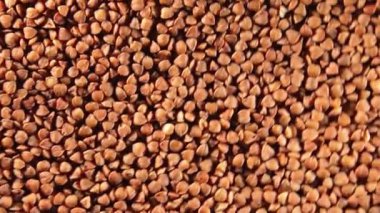 Kuru pişmemiş kahverengi karabuğday Groats, Yavaşça Saat Yönünde Dönen Üst Görüş. Çiğ Büyük Karabuğday Taneleri. Rus, Ukrayna ve Beyaz Rusya Kültürü. Sağa Döndür