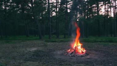 Akşam Ateşi Yazın Çam Ormanı 'nda yanıyor. Alevli Kamp Ateşi, Şenlik Ateşi İçin Yer. Fire Pit Out, Wood On Fire, Flying Sparks ve Smoke. Seyahat ve Turizm Konsepti - Statik Atış