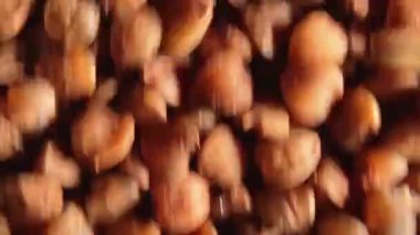 Kuru pişmemiş kahverengi karabuğday büyür arka plan yukarı doğru hareket eder - Top View, Yakın plan, Macro, Low Key Light. Çiğ Büyük Karabuğday Taneleri. Rus, Ukrayna ve Beyaz Rusya Kültürü