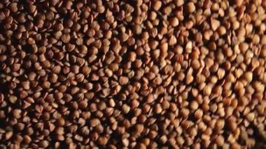 Kuru pişmemiş kahverengi karabuğday Groats, saat yönünde dönen saat - Üst Manzara, alçak anahtar ışığı. Çiğ Büyük Karabuğday Taneleri. Rus, Ukrayna ve Beyaz Rusya Kültürü. Sağa Döndür