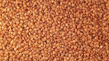 Dry Uncooked Brown Buckwheat Groats, Slowly Rotating Background - Top View. Raw Large Buckwheat Grains. Russian, Ukrainian and Belarusian Culture. Rotation Left