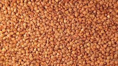 Kuru pişmemiş kahverengi karabuğday Groats, Yavaşça Dönen Arkaplan - Top View. Çiğ Büyük Karabuğday Taneleri. Rus, Ukrayna ve Beyaz Rusya Kültürü. Sağa Döndür