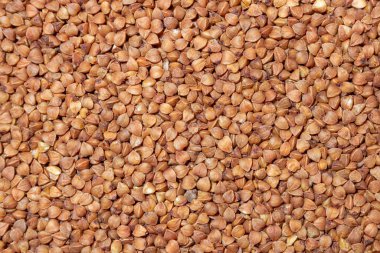 Kuru pişmemiş kahverengi karabuğday tarlası arka planı - Top View, Düz Yat. Çiğ Büyük Karabuğday Taneleri. Rus, Ukrayna ve Beyaz Rusya Kültürü