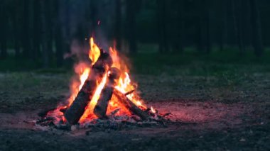 Akşam Ateşi Yazın Çam Ormanı 'nda yanıyor. Alevli Kamp Ateşi, Şenlik Ateşi İçin Yer. Fire Pit Out, Wood On Fire, Flying Sparks ve Smoke. Seyahat ve Turizm Konsepti - Yavaş Hareket