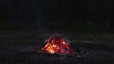 Akşam Ateşi Yazın Çam Ormanı 'nda yanıyor. Alevli Kamp Ateşi, Şenlik Ateşi İçin Yer. Fire Pit Out, Wood On Fire, Flying Sparks ve Smoke. Seyahat ve Turizm Konsepti - Yavaş Hareket