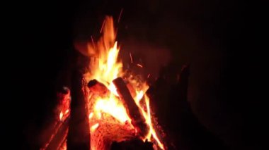 Karanlık Orman 'da Gece Ateşi Yanıyor. Gece vakti Alevli Kamp Ateşi. Şenlik Ateşi için yer. Fire Pit Out, Wood On Fire, Flying Sparks ve Smoke. Seyahat ve Turizm Konsepti - Statik Atış