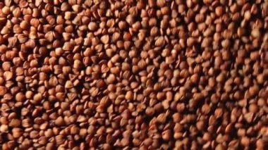 Kuru pişmemiş kahverengi karabuğday Groats, saat yönünde dönen saat - Üst Manzara, alçak anahtar ışığı. Çiğ Büyük Karabuğday Taneleri. Rus, Ukrayna ve Beyaz Rusya Kültürü. Sağa Döndür