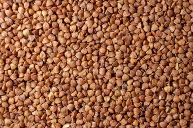 Kuru pişmemiş kahverengi karabuğday tarlası arka planı - Top View, Düz Yat. Çiğ Büyük Karabuğday Taneleri. Rus, Ukrayna ve Beyaz Rusya Kültürü