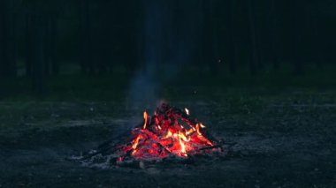 Akşam Ateşi Yazın Çam Ormanı 'nda yanıyor. Alevli Kamp Ateşi, Şenlik Ateşi İçin Yer. Fire Pit Out, Wood On Fire, Flying Sparks ve Smoke. Seyahat ve Turizm Konsepti - Yavaş Hareket