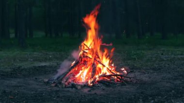 Akşam Ateşi Yazın Çam Ormanı 'nda yanıyor. Alevli Kamp Ateşi, Şenlik Ateşi İçin Yer. Fire Pit Out, Wood On Fire, Flying Sparks ve Smoke. Seyahat ve Turizm Konsepti - Yavaş Hareket