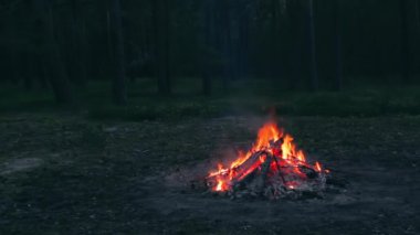 Akşam Ateşi Yazın Çam Ormanı 'nda yanıyor. Alevli Kamp Ateşi, Şenlik Ateşi İçin Yer. Fire Pit Out, Wood On Fire, Flying Sparks ve Smoke. Seyahat ve Turizm Konsepti - Statik Atış