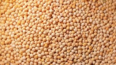 Pişmemiş Sarı Bezelyeler: Kuru Bezelye Mutfak Tablosu, Dokulu Arkaplan - Üst Görünüm, Döndürme. Dağıtılmış Çiğ Bezelyeleri Dönüştürmek. Sağlıklı Yeme İçindekiler - Döndürme