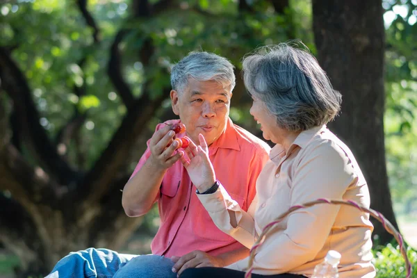 Happy Old Elderly Couple Spouses Relaxing Sitting Blanket Park Sharing — Stock Photo, Image