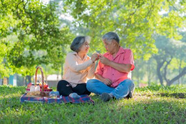 Yaşlı ve mutlu eşler parkta bir battaniyenin üzerinde dinleniyor ve çok az değerli anılarını paylaşıyorlar. Son sınıf çifti piknikte harika vakit geçiriyorlar. Olgun ilişkiler kavramı