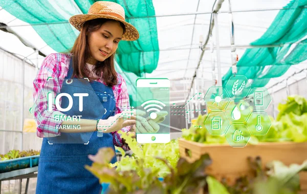 stock image farmer woman use smartphone in greenhouse using apps and internet of things(IOT)  for checking fresh green oak lettuce salad, organic hydroponic vegetable in greenhouse, IOT Agriculture Concept.