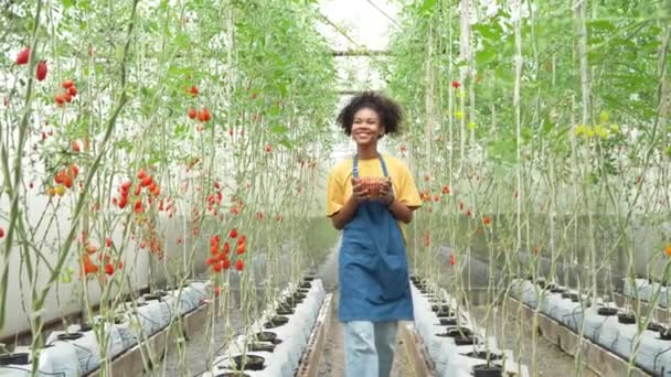 Ευτυχής Αγρότης Γυναίκα Που Εργάζονται Στην Εγχώρια Βιολογική Φάρμα Της — Αρχείο Βίντεο