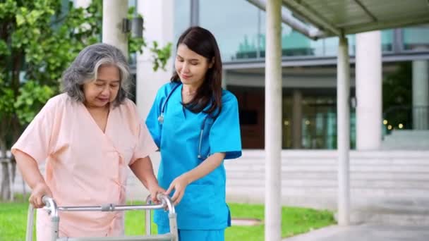 Cuidador Enfermera Asiática Cuidadosa Cuidando Paciente Asiático Anciano Silla Ruedas — Vídeos de Stock