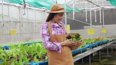 Mutlu Asyalı kadın çiftçinin portresi, bir sera bahçesindeki organik bir çiftlikte taze sebze salatası sepeti, sağlık için organik tarım kavramı, vegan gıda ve küçük işletmeler..