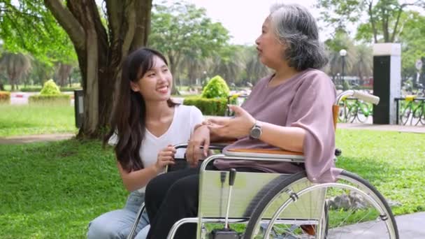 アジア人介護者や看護師が車椅子で患者の世話をする 介護者の介護による幸せな退職の概念と貯蓄と高齢者健康保険 幸せな家族 — ストック動画
