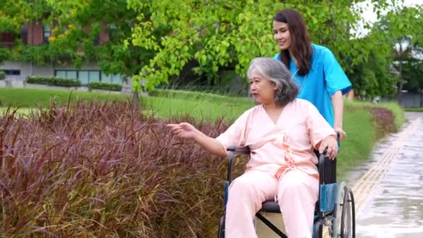 Ασιάτης Προσεκτικός Φροντιστής Νοσηλευτής Που Φροντίζει Τον Ασθενή Αναπηρική Καρέκλα — Αρχείο Βίντεο