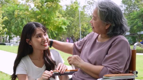 在轮椅上照料病人的亚洲细心照料者或护士 幸福退休的概念 由照顾者照料 储蓄和老年健康保险 幸福的家庭 — 图库视频影像