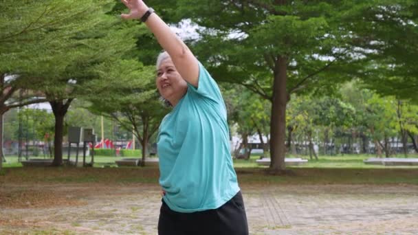 Envejecimiento Mujer Madura Hacer Fitness Aire Libre Parque Por Mañana — Vídeo de stock