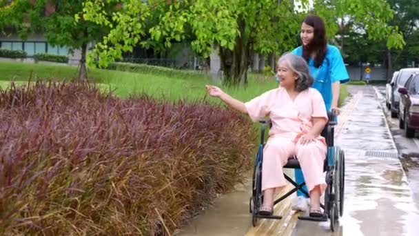 在轮椅上照料病人的亚洲细心照料者或护士 幸福退休的概念 由照顾者照料 储蓄和老年健康保险 幸福的家庭 — 图库视频影像