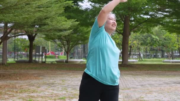 Envejecimiento Mujer Madura Hacer Fitness Aire Libre Parque Por Mañana — Vídeos de Stock