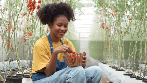 Kendi Yetiştirdiği Organik Çiftliğinde Oturan Mutlu Kadın Çiftçi Pazarda Yemek — Stok video