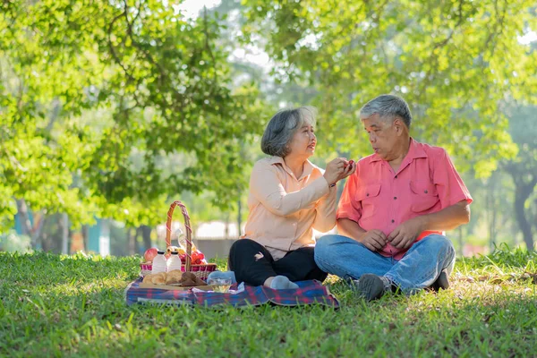 Happy old elderly couple spouses relaxing and sitting on a blanket in the park and sharing few precious memories. Senior couple having great time together on a picnic. concept of mature relationships