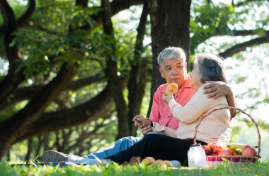 Yaşlı ve mutlu eşler parkta bir battaniyenin üzerinde dinleniyor ve çok az değerli anılarını paylaşıyorlar. Son sınıf çifti piknikte harika vakit geçiriyorlar. Olgun ilişkiler kavramı