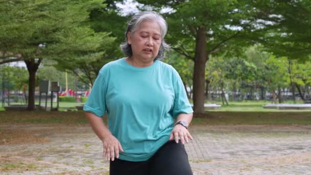 老年成熟女性早上在公园里做户外运动 健身理念照顾老年人的身体健康 老年人保健的概念 早上公园里的有氧运动 — 图库视频影像