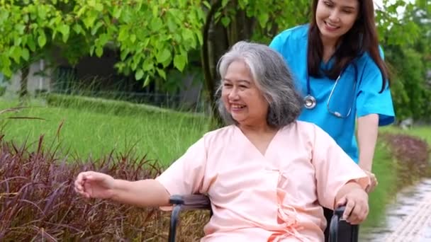 Asiatisk Noggrann Vårdgivare Eller Sjuksköterska Som Tar Hand Patienten Rullstol — Stockvideo