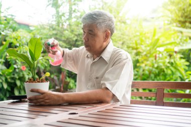 Mutlu ve gülümseyen Asyalı yaşlı bir adam huzurevinde emeklilikten sonra bir hobi ediniyor. Mutlu bir yaşam tarzı ve yaşlılar için sağlıklı yaşam kavramı.