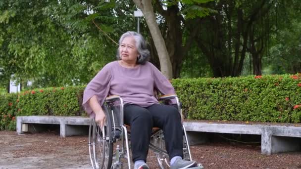 独个儿坐在轮椅上 推动轮椅在公园里继续前进的快乐的亚洲老年女性 由护理人员照料的快乐退休的理念 储蓄和老年健康保险 — 图库视频影像
