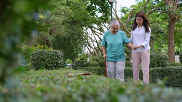 Old Elderly Asian Woman Uses Walker Walking Garden Her Daughter — Stock Video