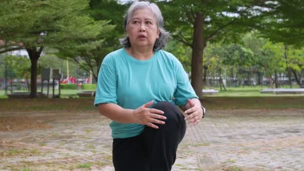 Ηλικιωμένη Ώριμη Γυναίκα Κάνει Γυμναστική Εξωτερικούς Χώρους Στο Πάρκο Πρωί — Αρχείο Βίντεο