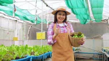 Mutlu Asyalı kadın çiftçinin portresi, bir sera bahçesindeki organik bir çiftlikte taze sebze salatası sepeti, sağlık için organik tarım kavramı, vegan gıda ve küçük işletmeler..
