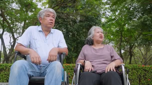 Glückliches Asiatisches Seniorenpaar Rollstuhl Sitzend Und Alte Frau Händchen Haltend — Stockvideo