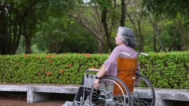 Happy Alone Asian Senior Women Sitting Wheelchair Pushing Wheelchairs Move — Vídeos de Stock
