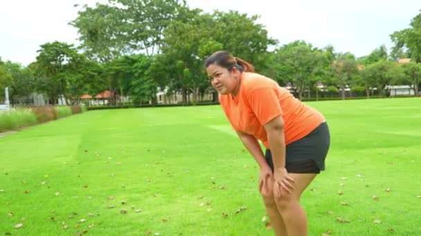Asiático Tamaño Mujer Entrenamiento Parque Estirar Los Músculos Antes Correr — Vídeos de Stock