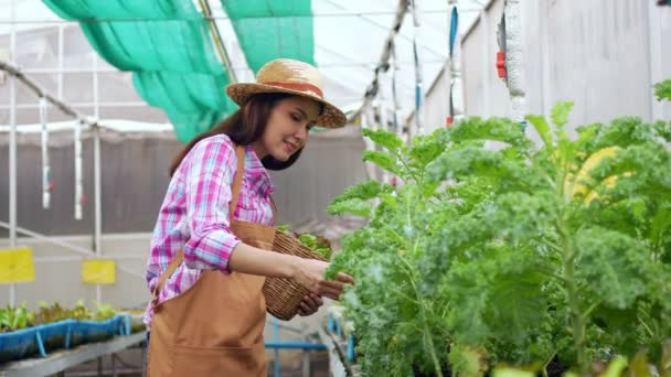 Portrett Lykkelig Asiatisk Gårdbruker Som Holder Kurv Med Fersk Grønnsakssalat – stockvideo