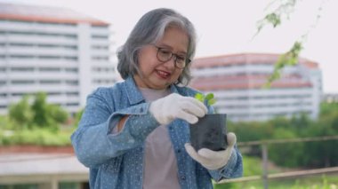 Mutlu yaşlı kadın portresi ve emeklilik kameralara bakıyor ve şehrin yakınlarındaki bahçe merkezinde bitkiler için fideleri tutuyor. Açık hava hobisi ve sağlıklı aktivite. Emeklilik için yaşam tarzı ve hobi