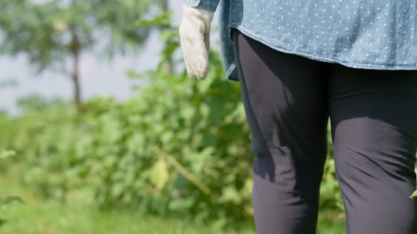 Portretul Unei Femei Fericite Bătrânețe Pensionare Mergând Grădinărit Cultivând Plante — Videoclip de stoc