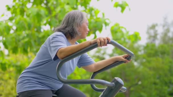 Senior Aziatische Vrouw Casual Workout Oefenstations Het Openbaar Park Vertegenwoordigt — Stockvideo