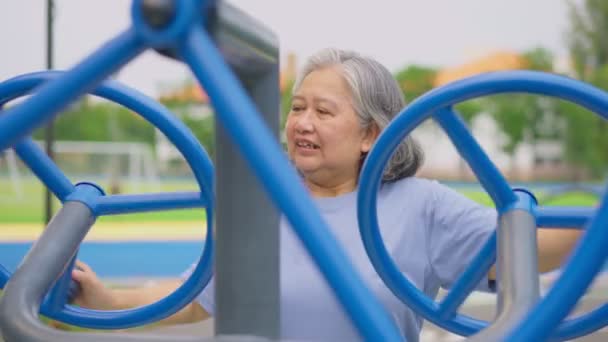 Senior Asian Woman Casual Workout Exercise Stations Public Park Represents — Stock Video